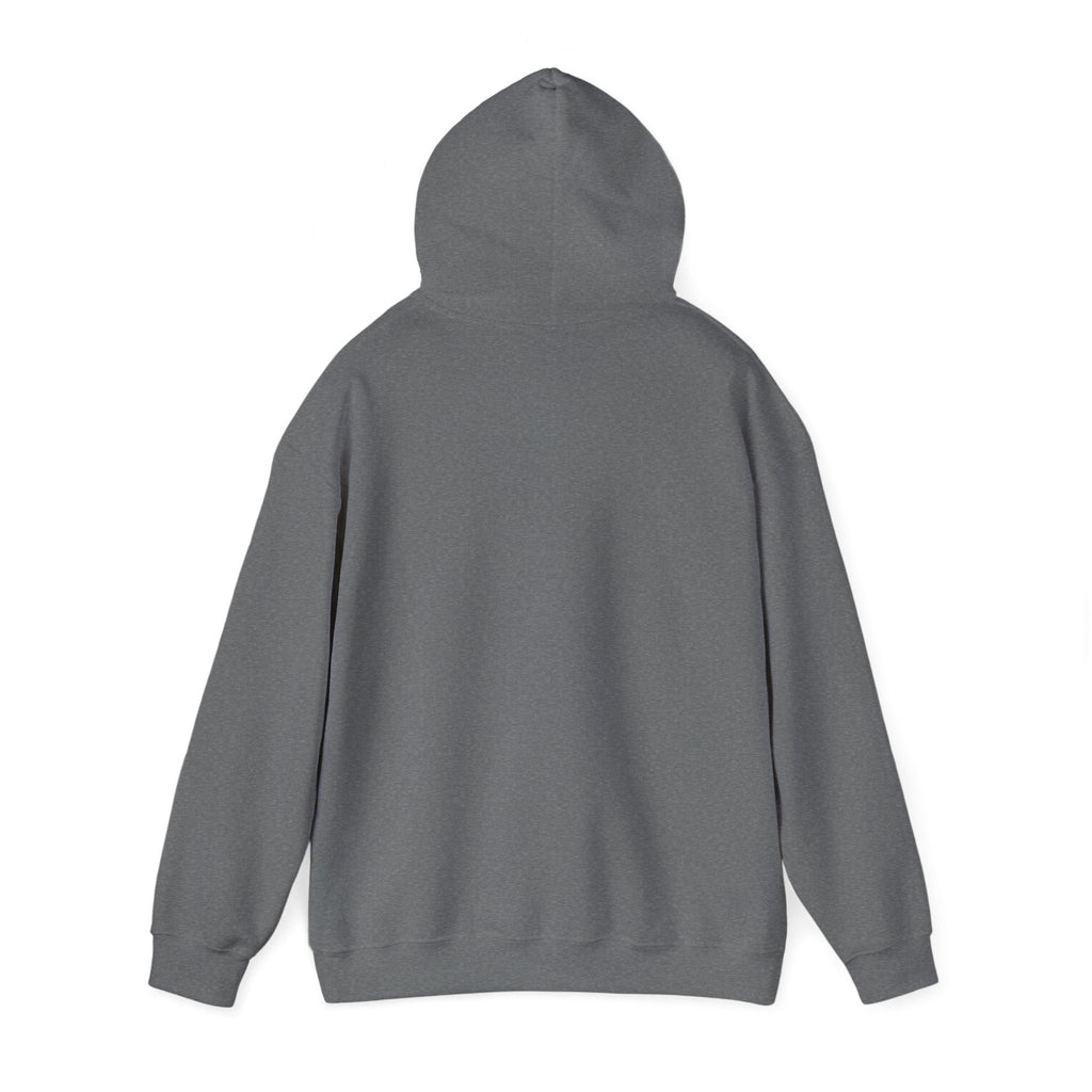 Don't Talk To Me, Talk To My Cat Hoodie