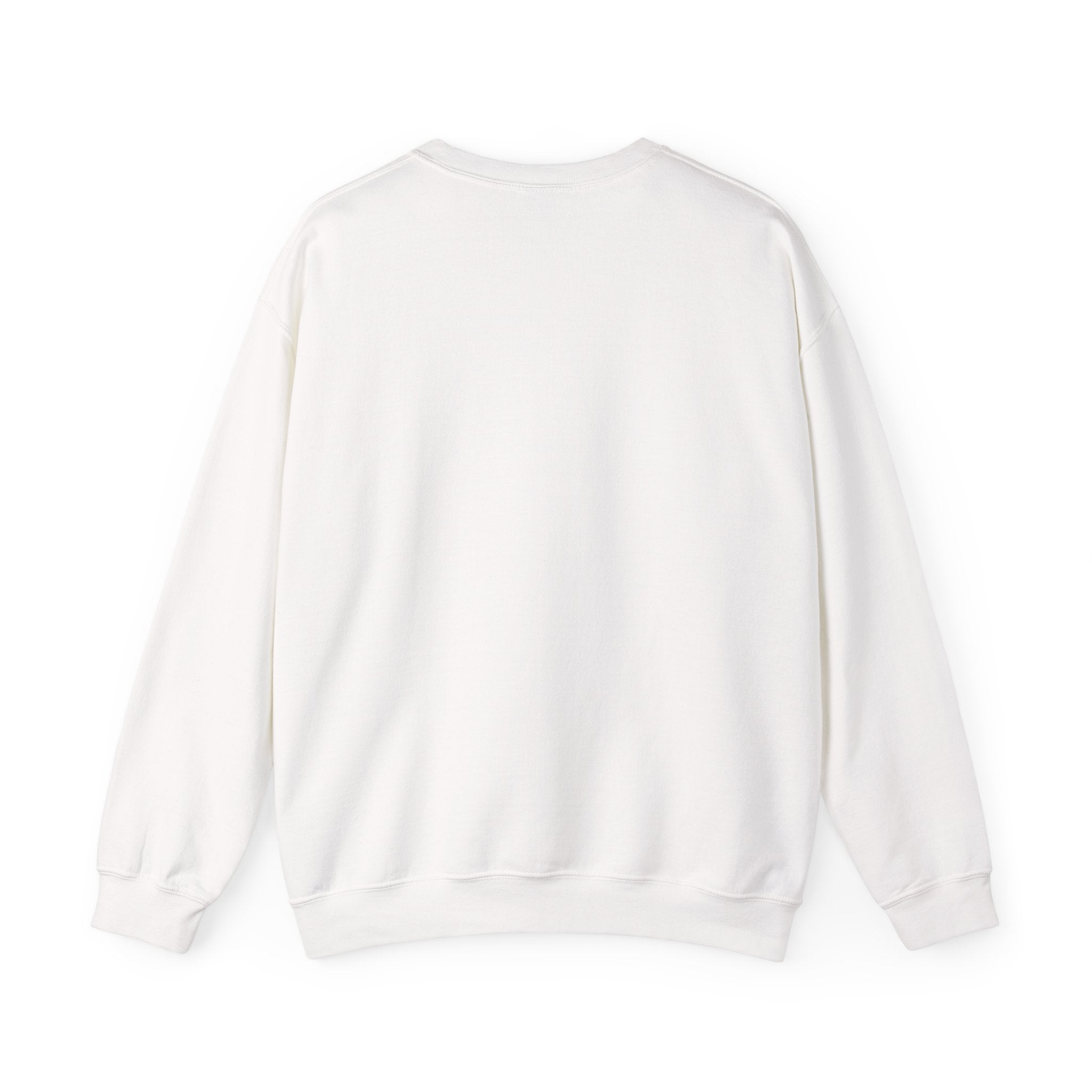 Don't Talk to Me! Talk to My Cat  Sweatshirt